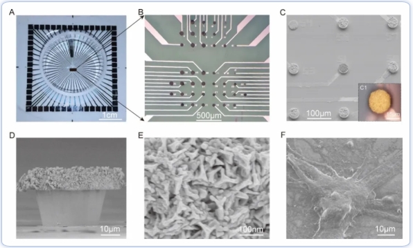 屏幕截图_19-11-2025_11503_www.sztyhx.cn.jpeg 屏幕截图_19-11-2025_11503_www.sztyhx.cn.jpeg